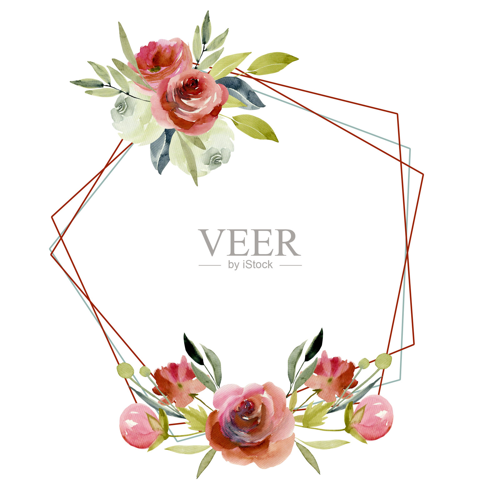 五角形框架与水彩白色和红色玫瑰，手绘在白色的背景，婚礼设计插画图片素材