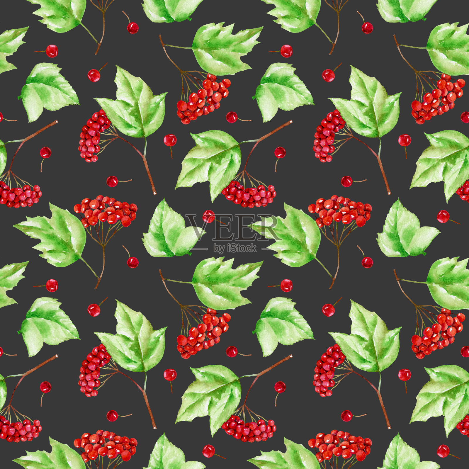 水彩绣球枝干无缝图案，手绘在深色背景上插画图片素材