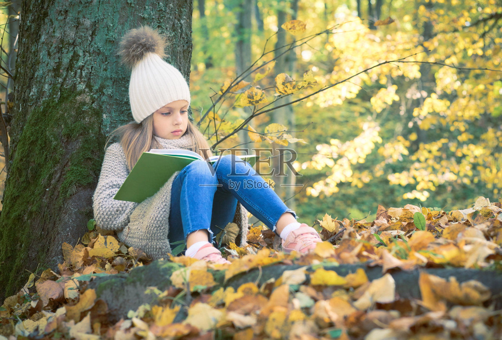 可爱的小女孩坐在公园的树下，膝盖上放着一本书。女孩若有所思地坐在铺满黄叶的秋日阳光明媚的天气里。照片摄影图片