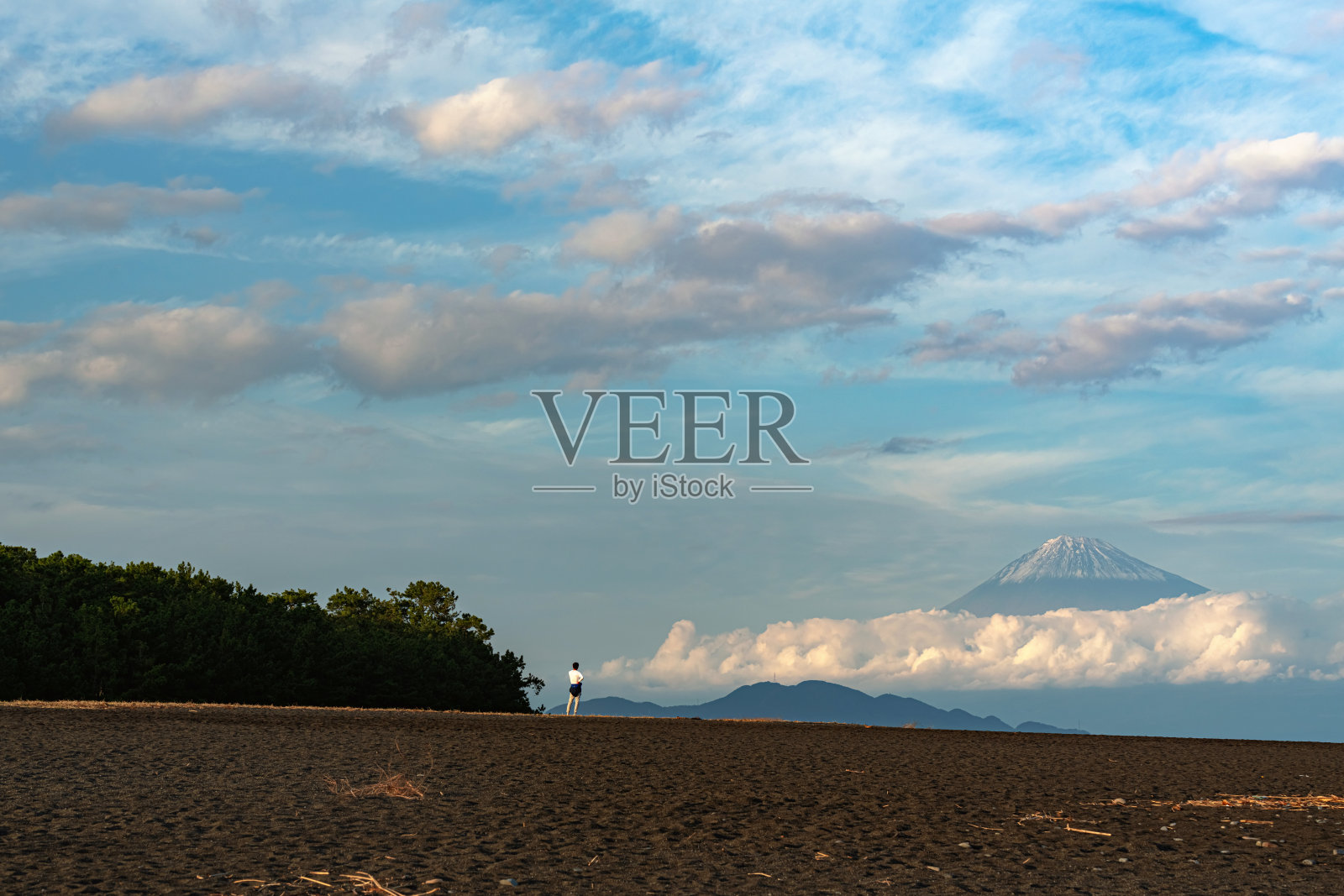 美穗松林里的富士山照片摄影图片