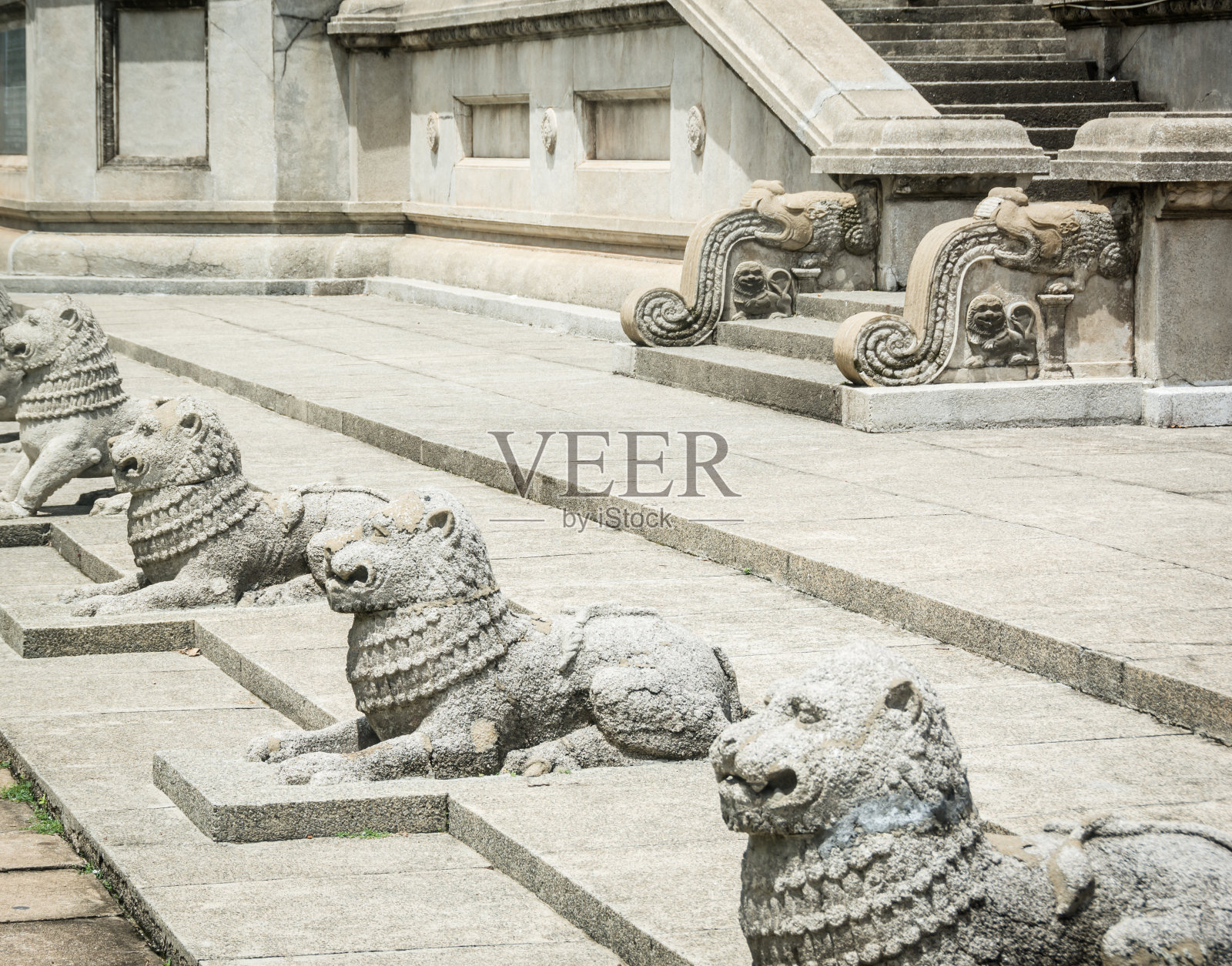 狮子雕像-科伦坡，斯里兰卡照片摄影图片