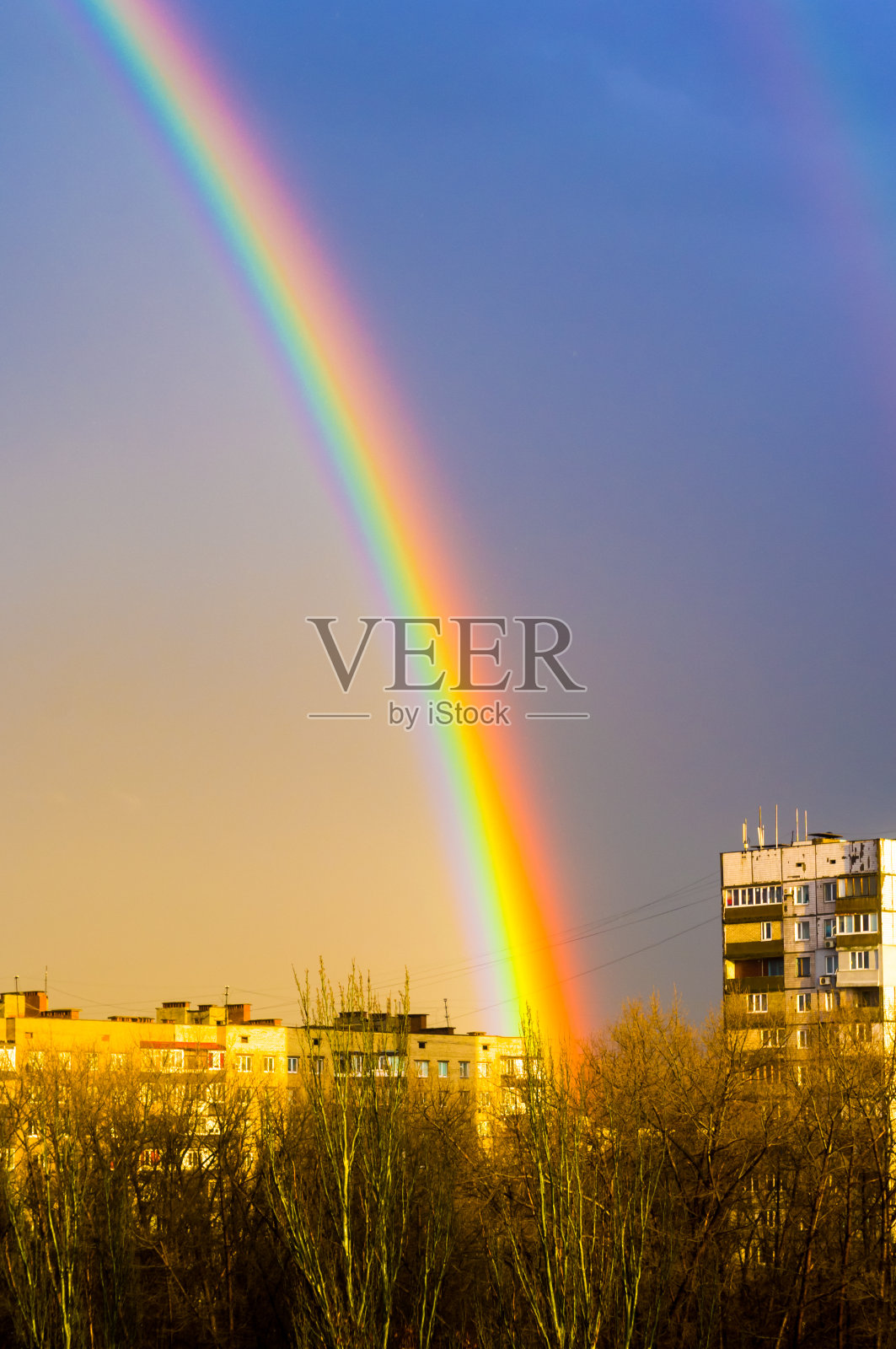 天然双虹绿树之上，夏日城市景观照片摄影图片