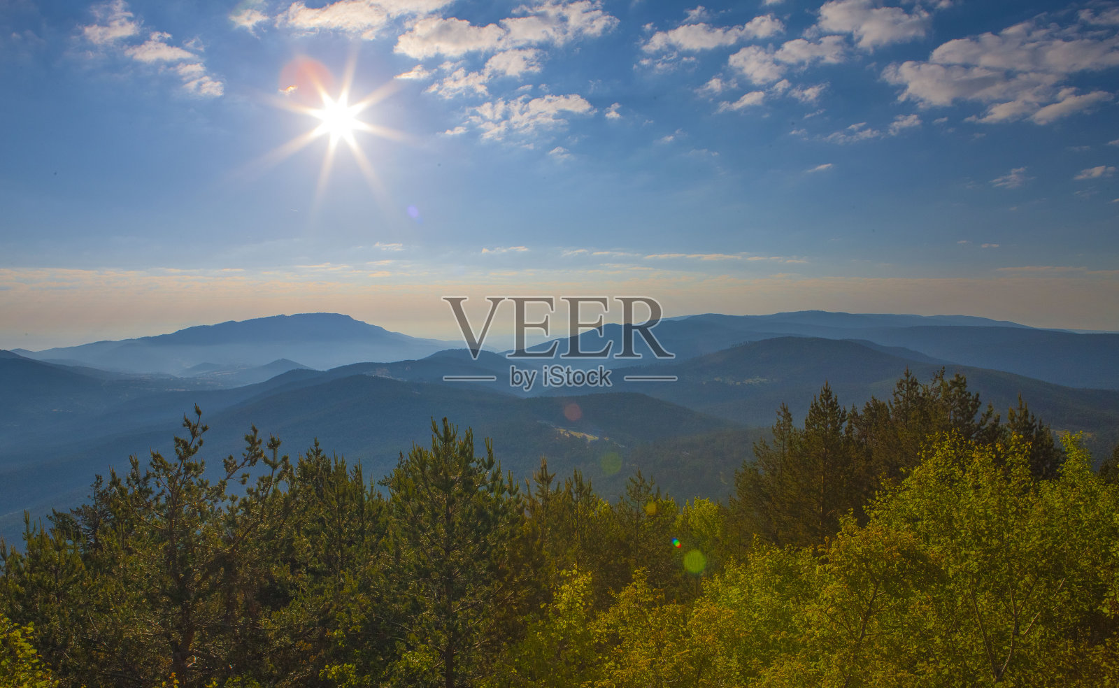 埃斯基谢希尔的卡亚克森林照片摄影图片