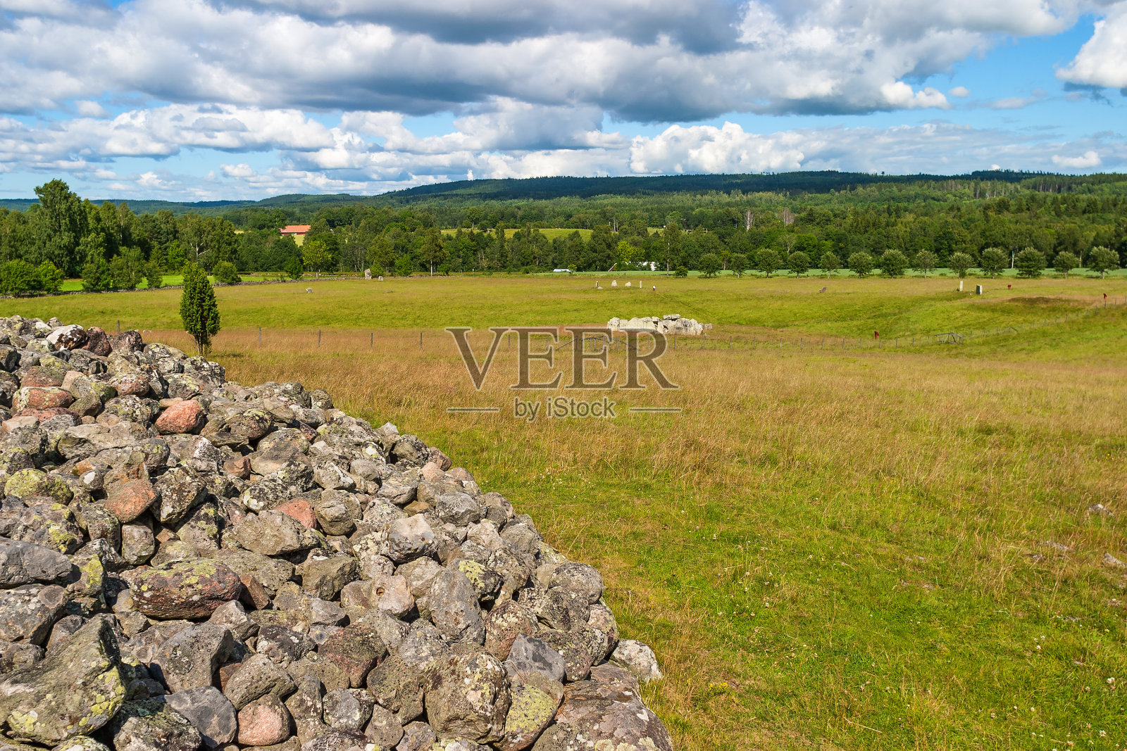 在草地景观中的一块墓地照片摄影图片