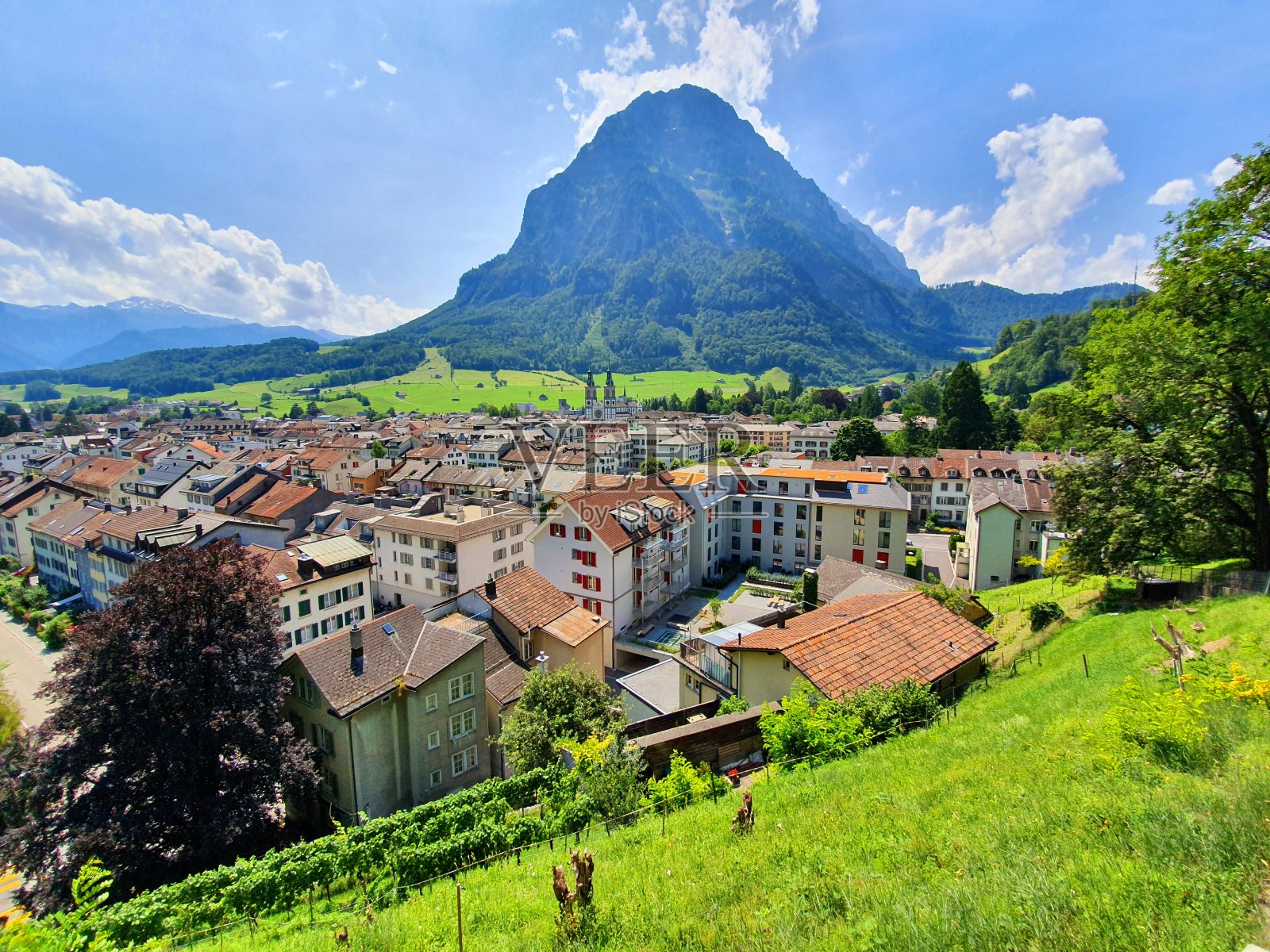 格拉鲁斯照片摄影图片