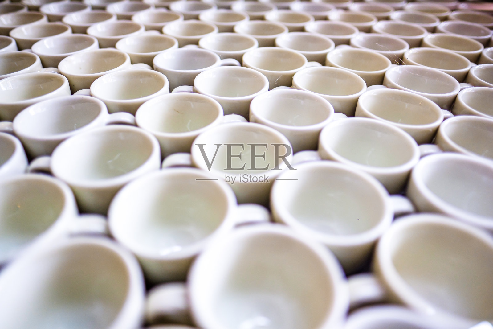 群杯照片摄影图片