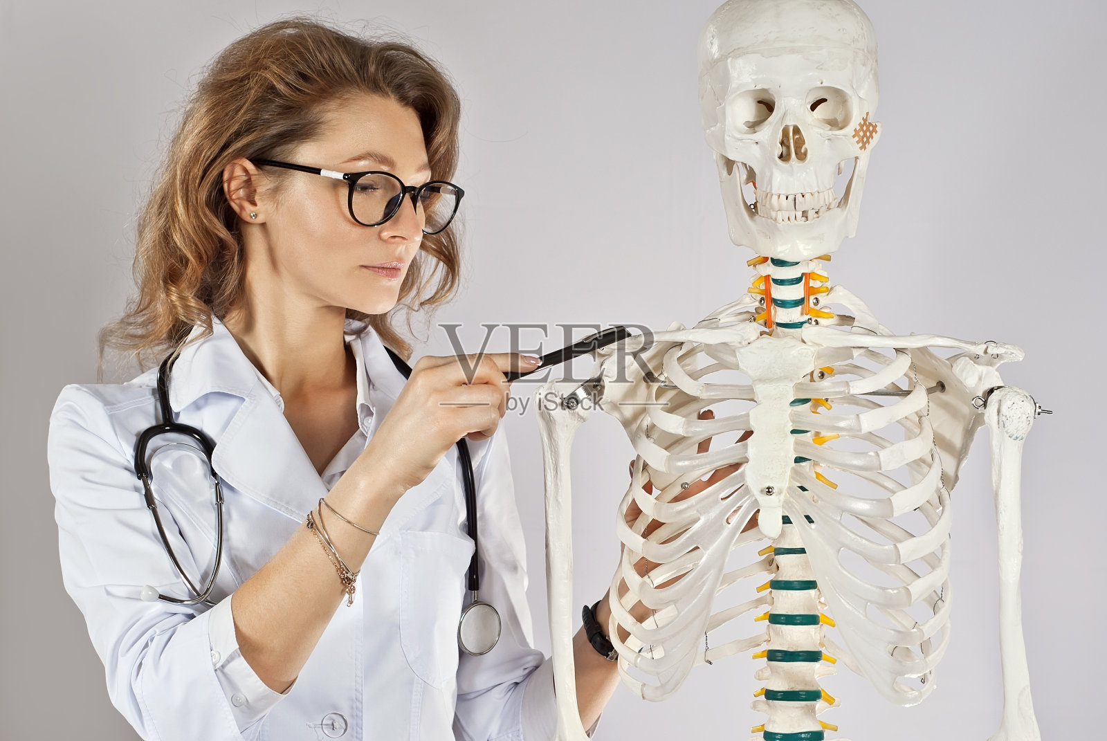 穿医袍的女人医生与骨架布局。戴眼镜的女医生被隔离在白色背景上。医生的助手指着骨头。肌肉骨骼系统疾病的研究。照片摄影图片