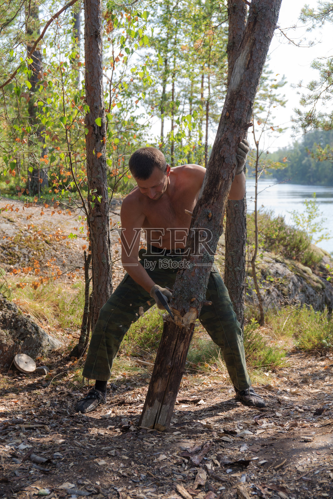 伐木的人照片摄影图片