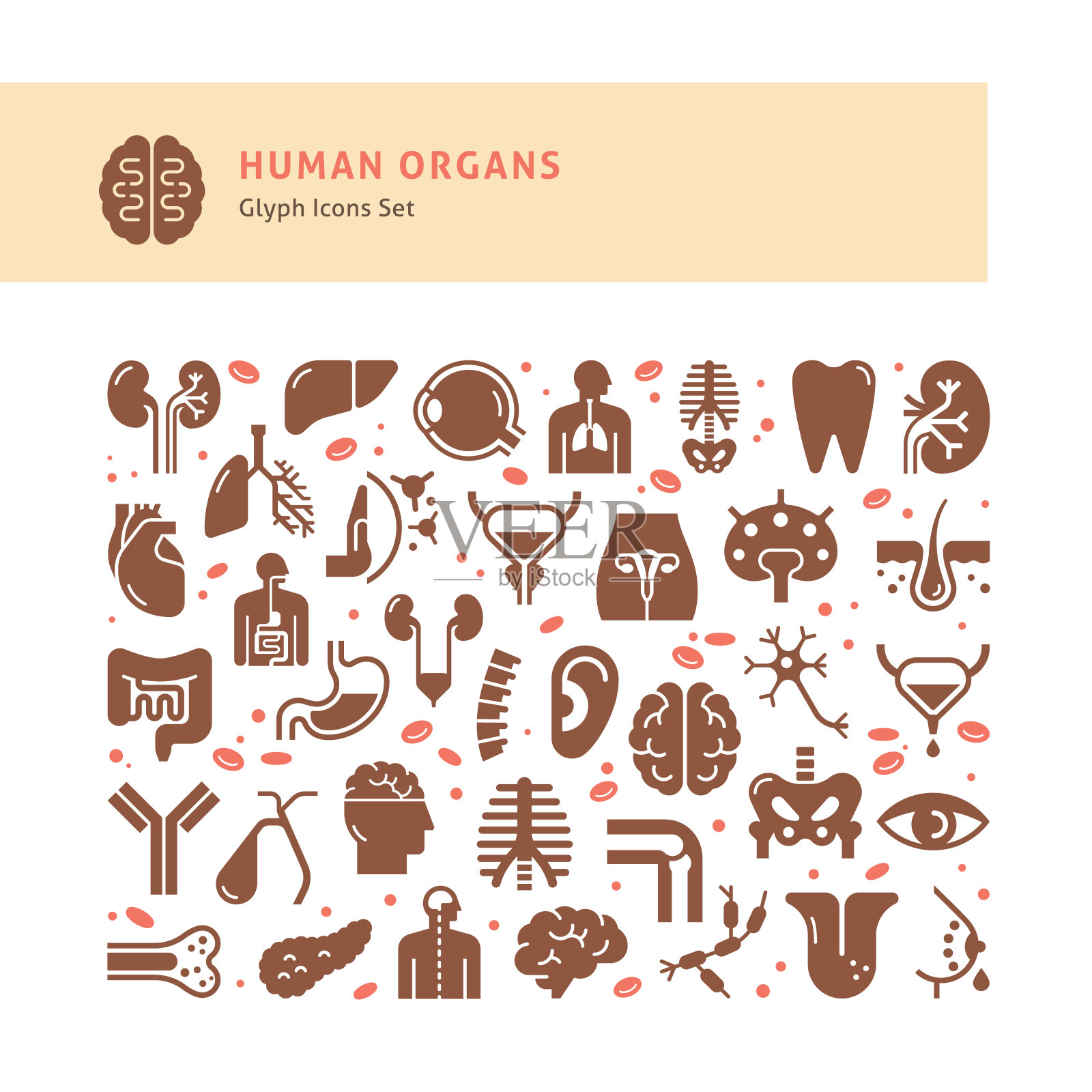 一组向量图标的内部人体器官在一个线性风格孤立插画图片素材