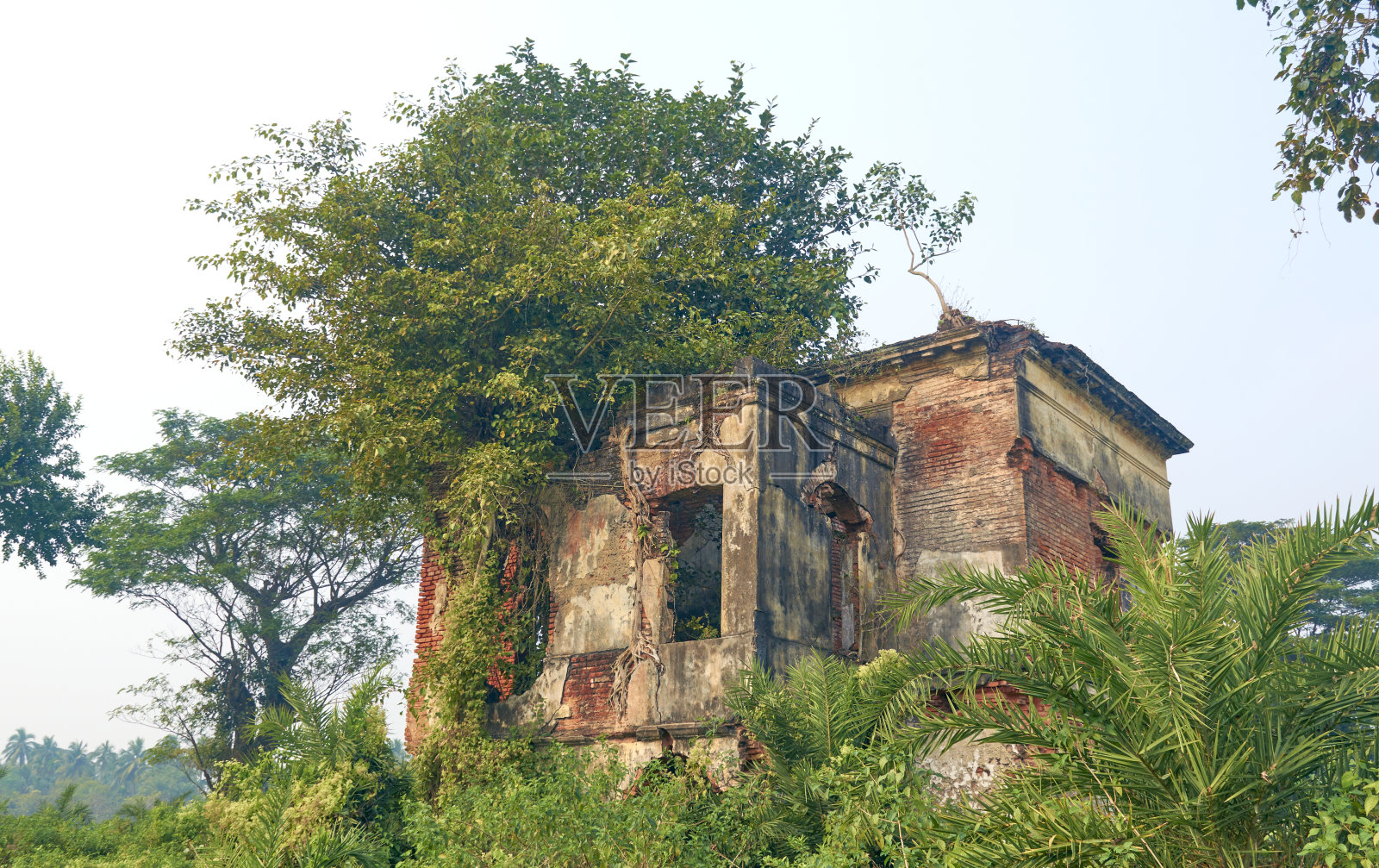 西孟加拉邦一座废弃的历史建筑的外观，现在已被毁。照片摄影图片