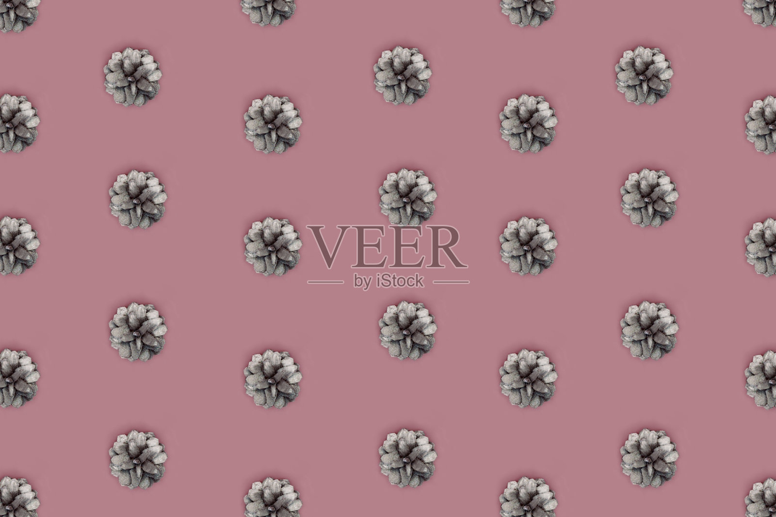 时髦的图案银松果。圣诞节的概念。照片摄影图片