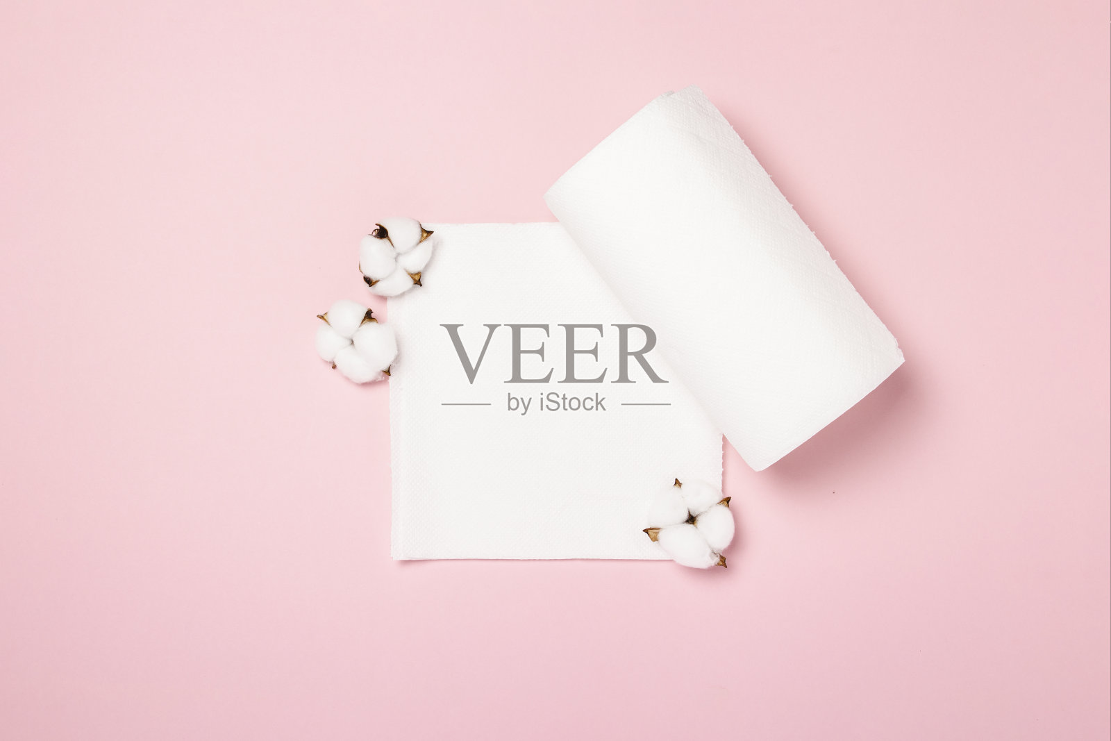 粉红色背景上的一卷纸巾和棉花花。概念是100天然产品，精致柔软。平躺，俯视图照片摄影图片