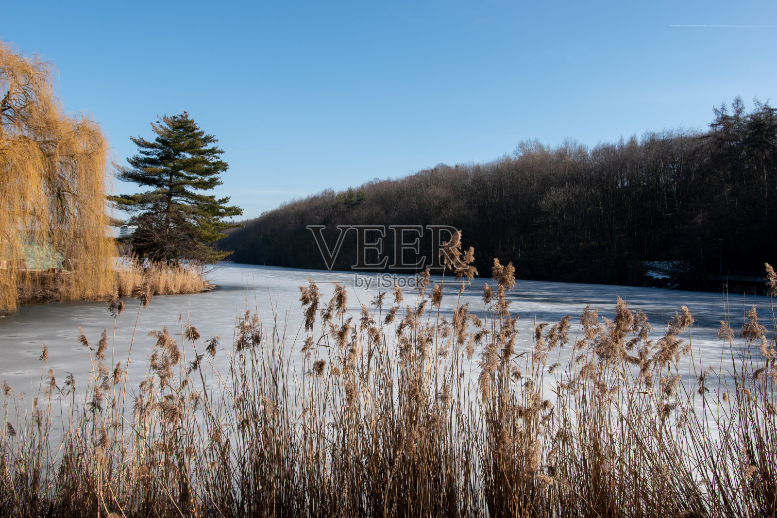结冰的湖面，前面是草照片摄影图片
