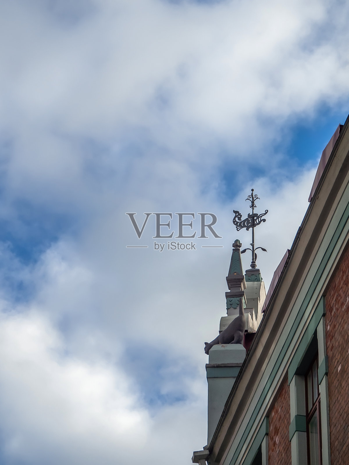 Talinn。秋天的老城。照片摄影图片