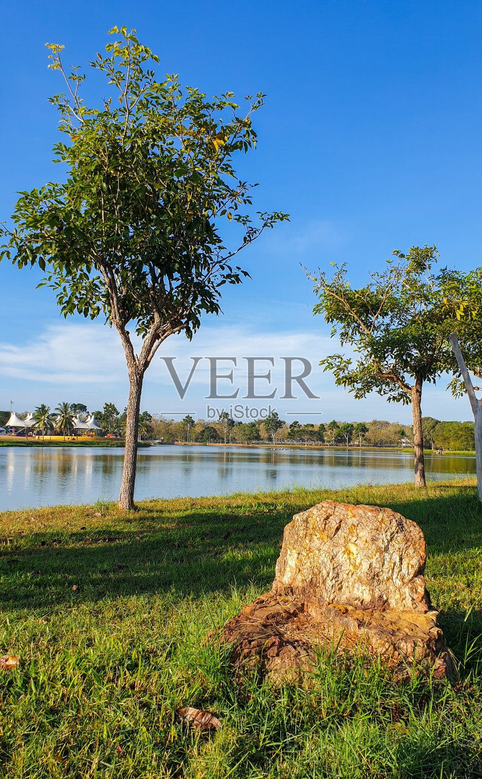 湖畔绿意照片摄影图片