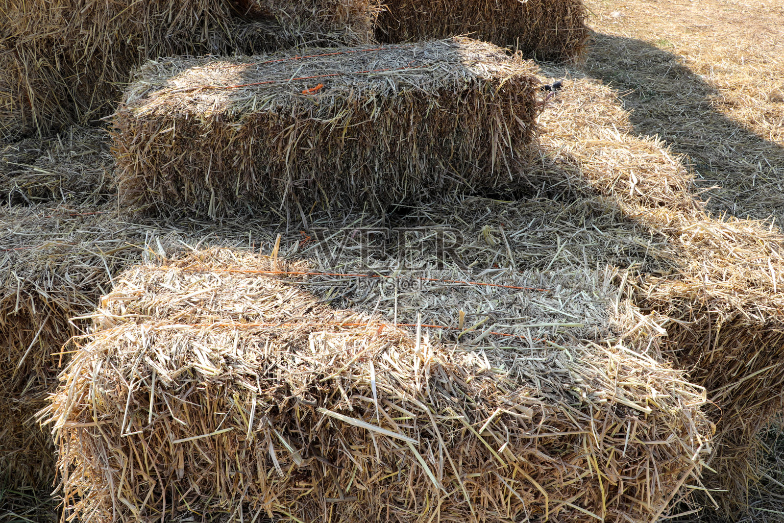 干稻草堆。有选择焦点的捆干草照片摄影图片