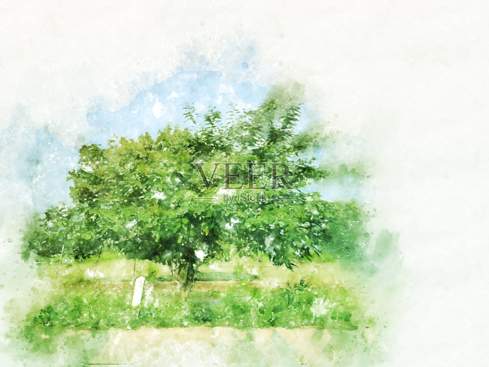 树木田野水彩抽象彩色背景插画图片素材