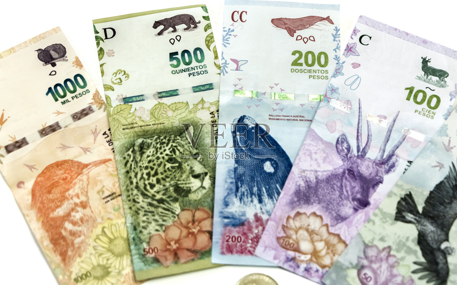 阿根廷的纸币上印有本地和受保护的动物物种。照片摄影图片
