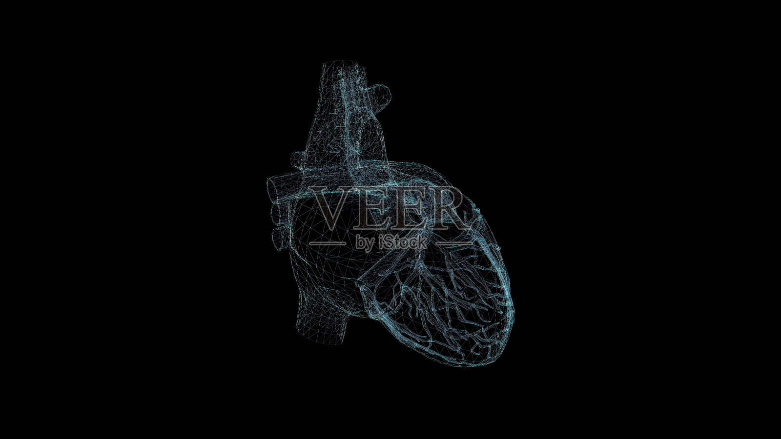 心全息图线框图。漂亮的3D渲染在一个黑色的背景照片摄影图片