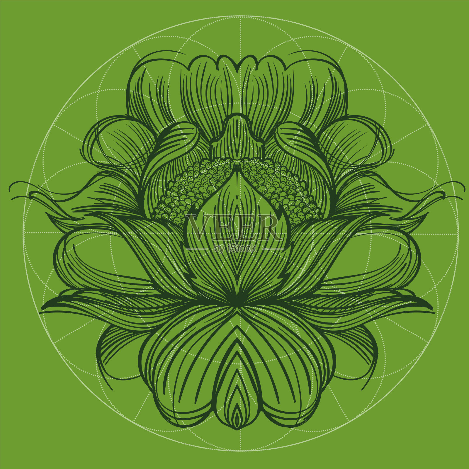 优雅的元素，一个程式化的花与流畅的线条。程式化的花卉元素的设计。插画图片素材