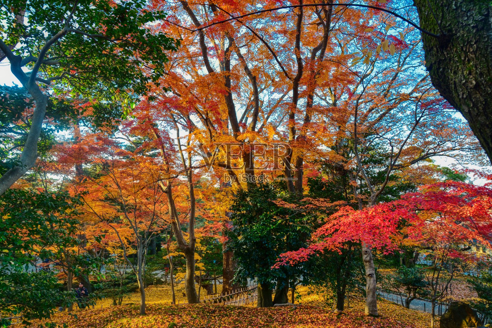 金泽照片摄影图片