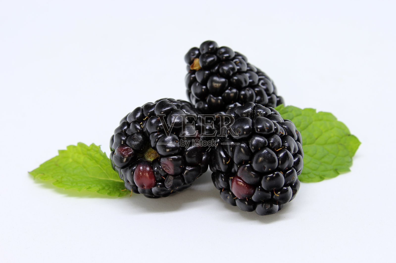 美味的黑莓孤立在白色的背景照片摄影图片