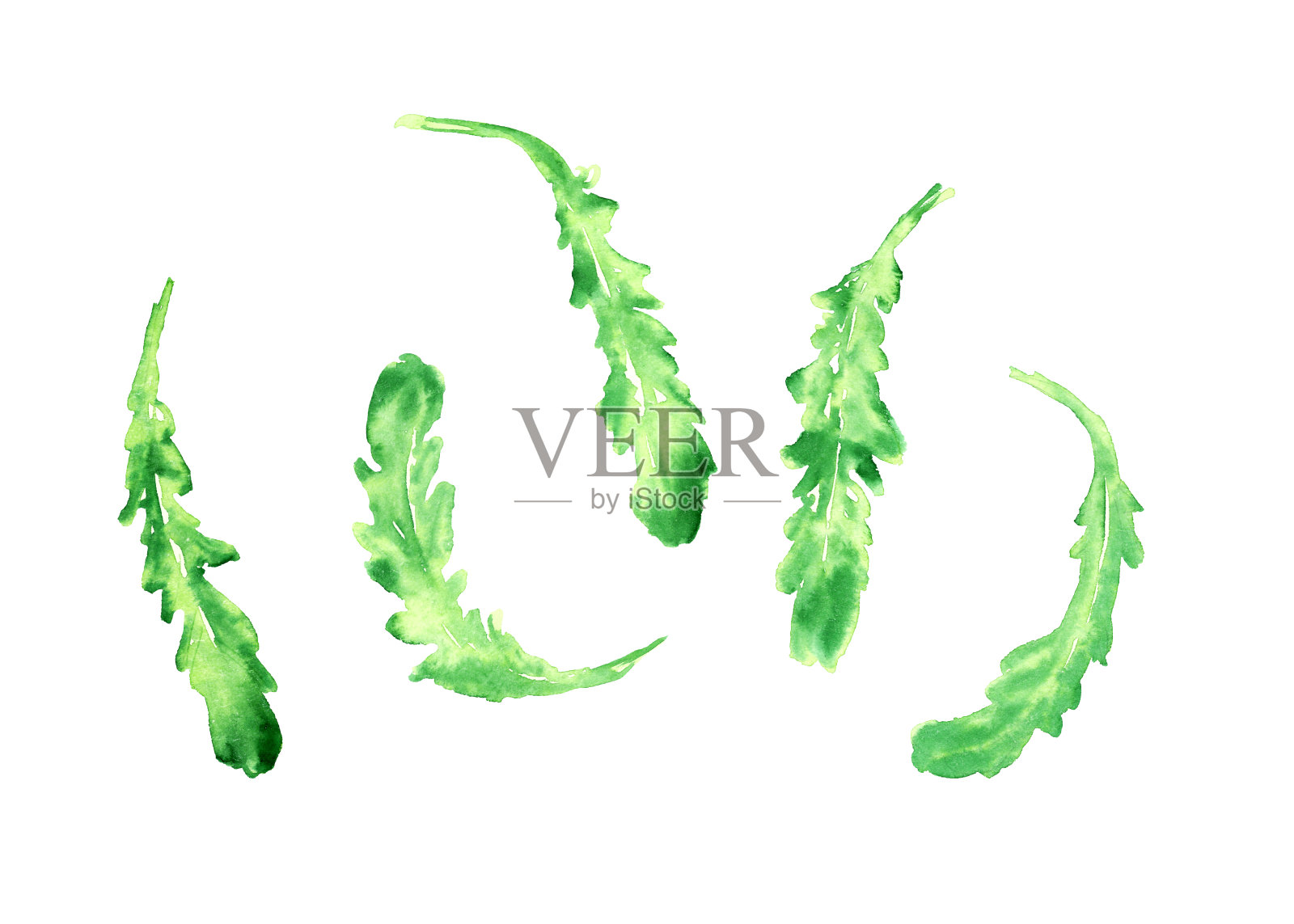 手绘水彩食物素描插画图片素材