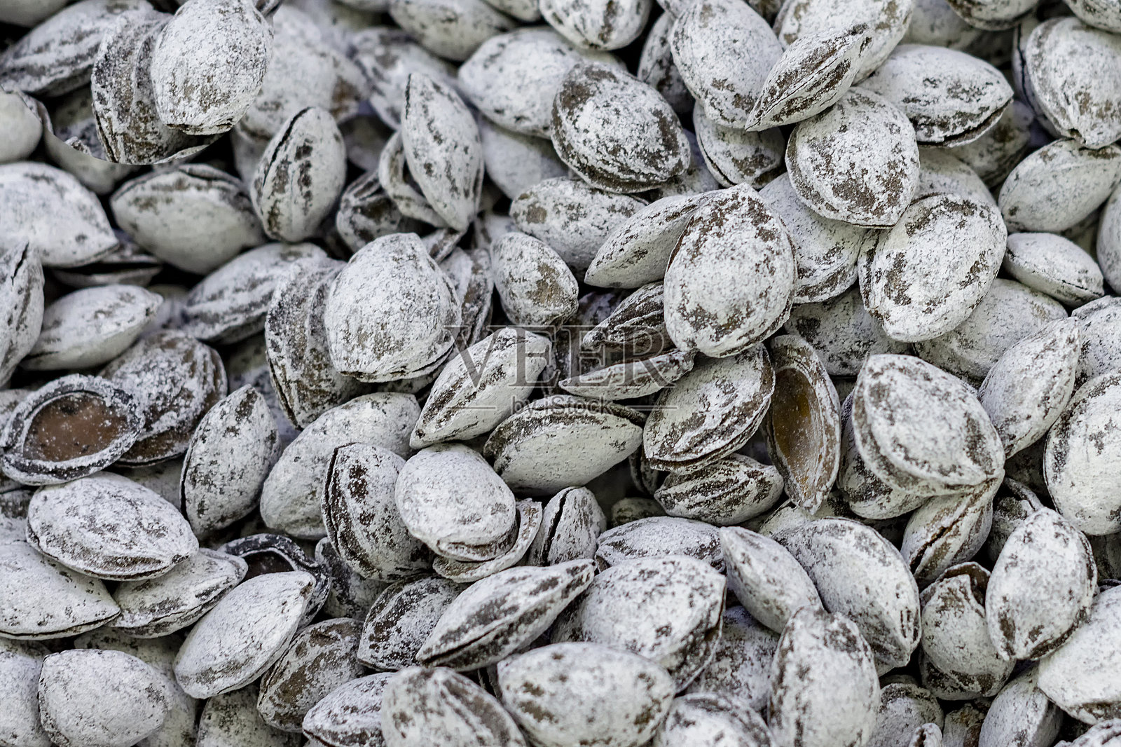 白蜡树中的杏子。照片摄影图片