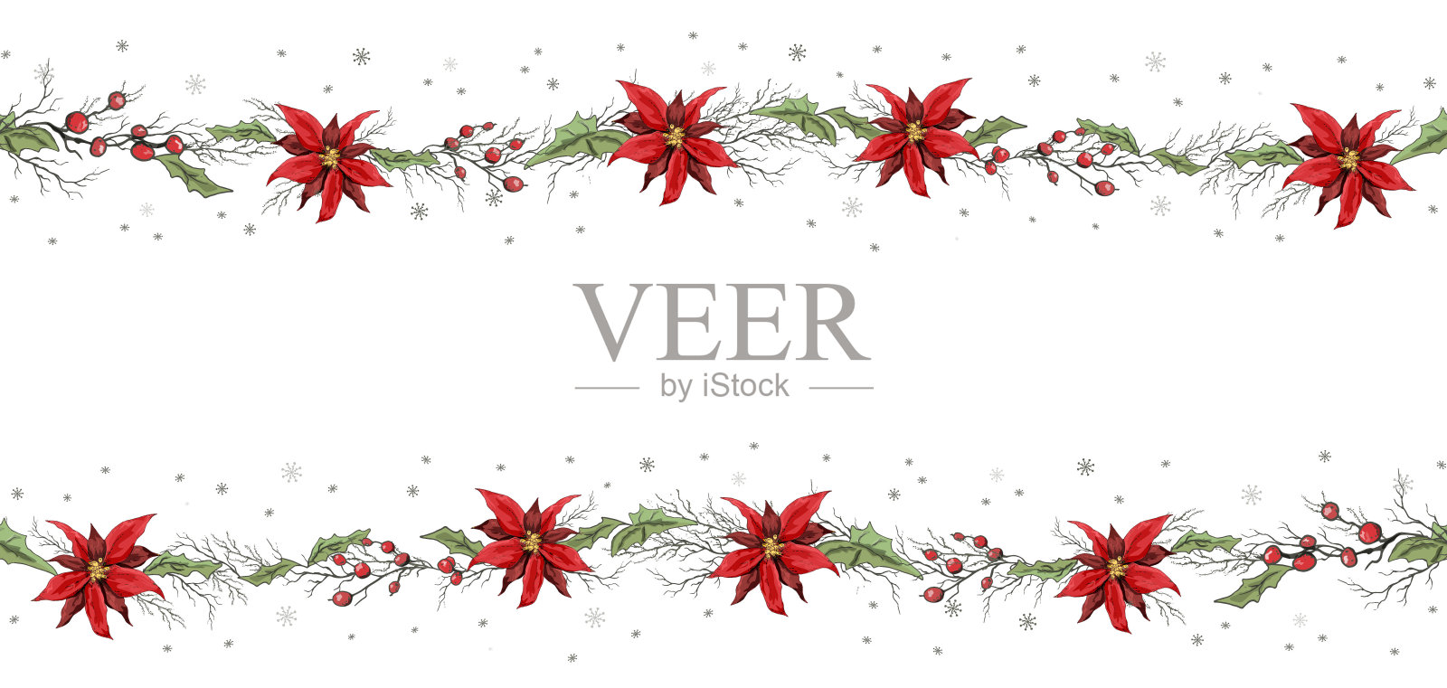 无缝矢量框架的冬季花，一品红和花梨花的枝条。手绘素描，涂鸦，写实风格的绘画。用于装饰、设计、墙纸、展示、纸张设计元素图片