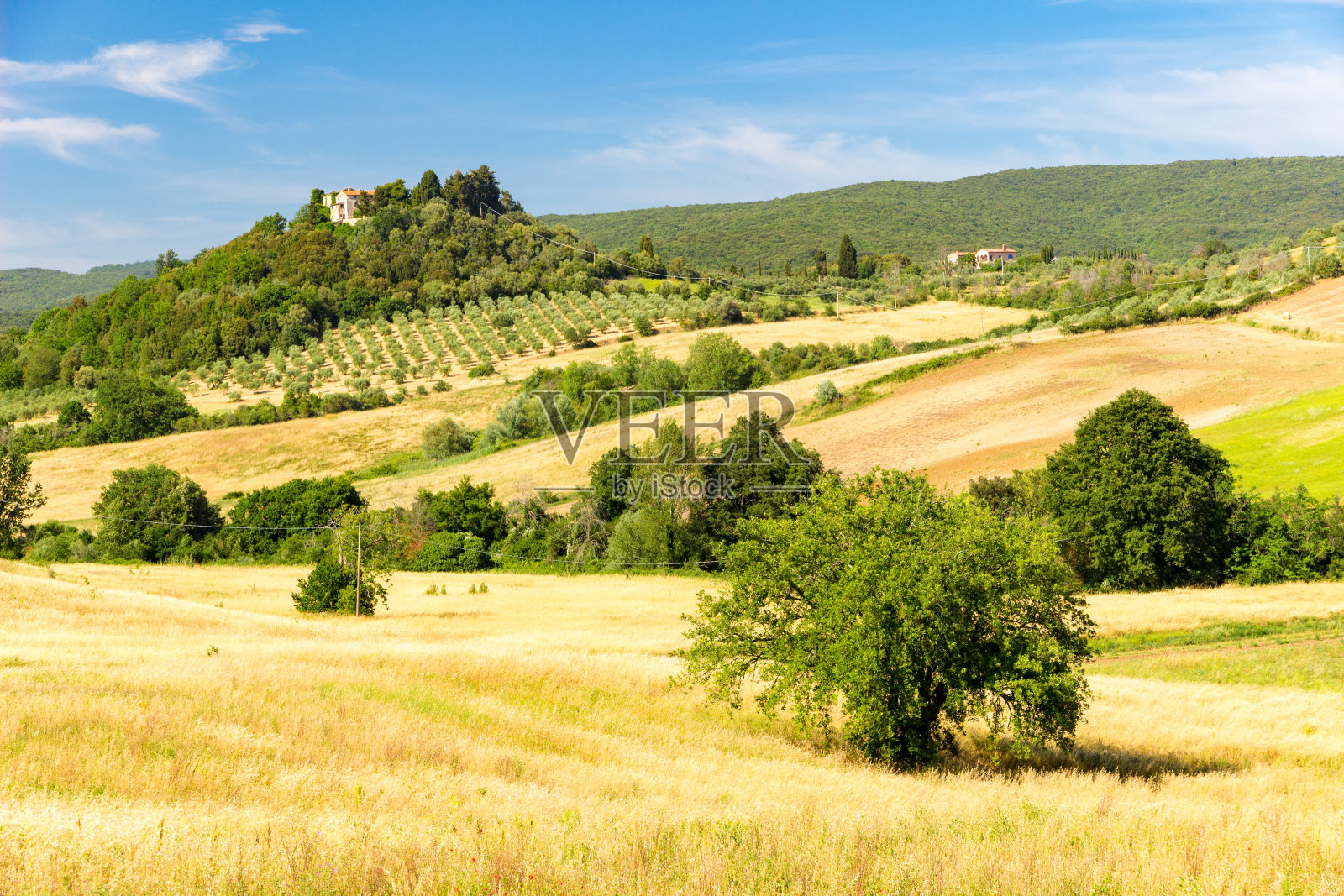 阳光明媚的春天，意大利马萨马里提玛附近的托斯卡纳乡村景色照片摄影图片