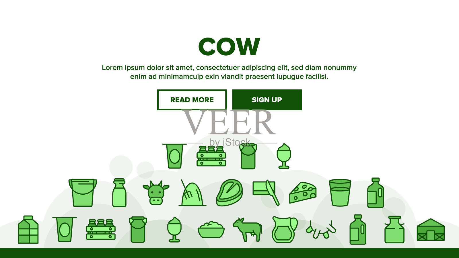 奶牛养殖动物着陆头部矢量插画图片素材