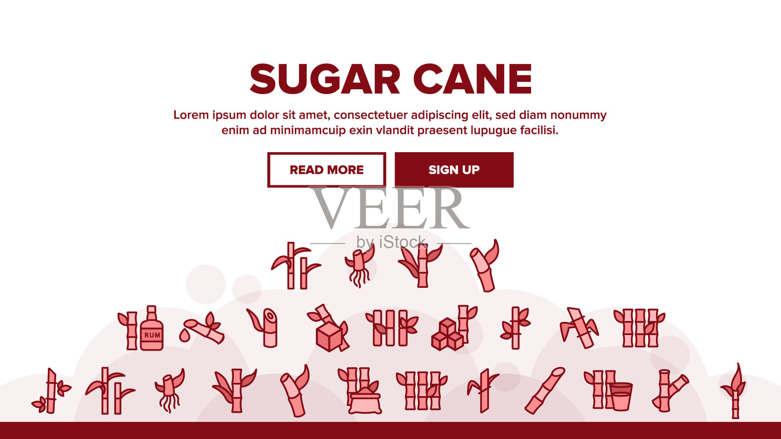 甘蔗农业着陆头载体插画图片素材