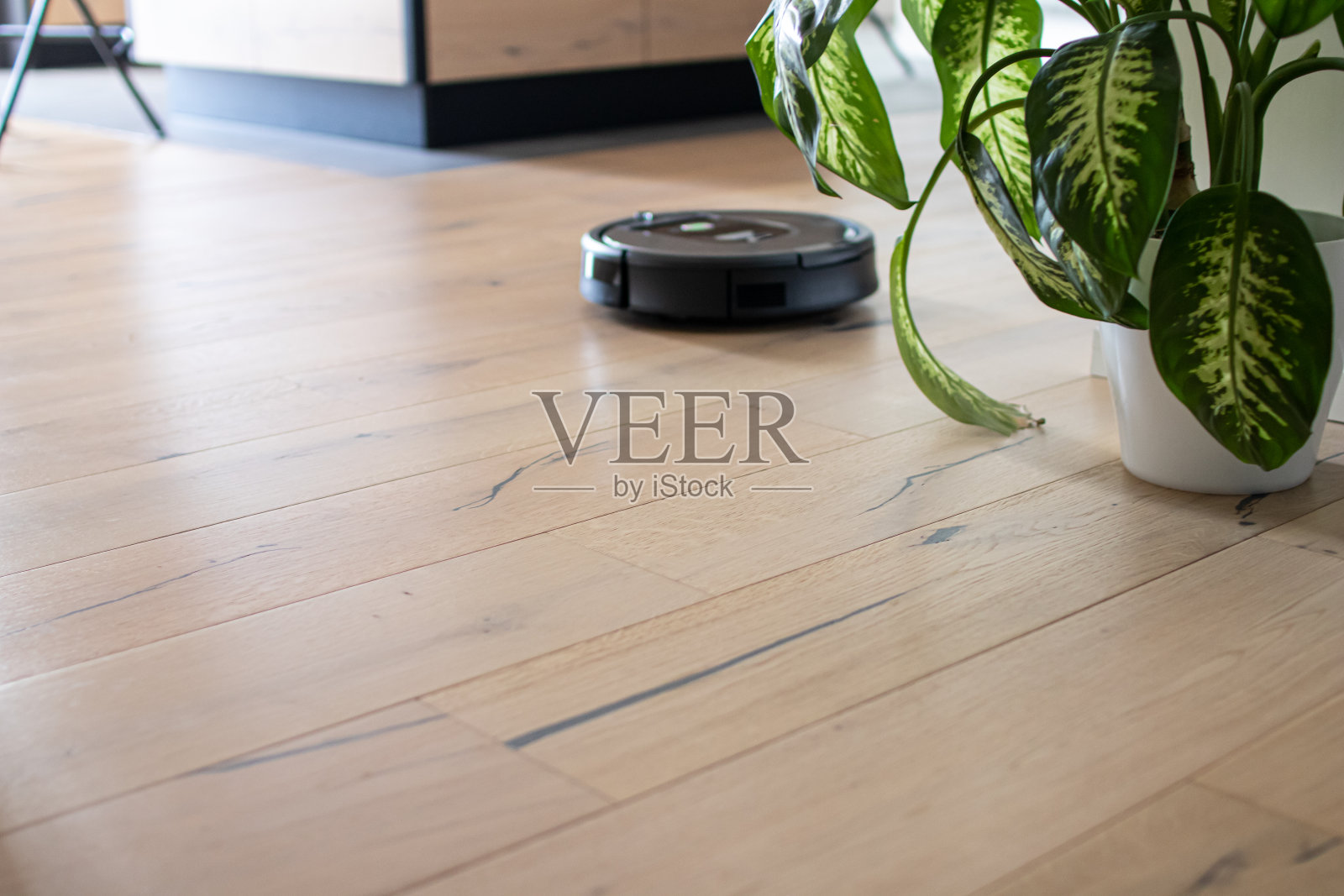 室内公寓与扫地机器人虚化背景照片摄影图片