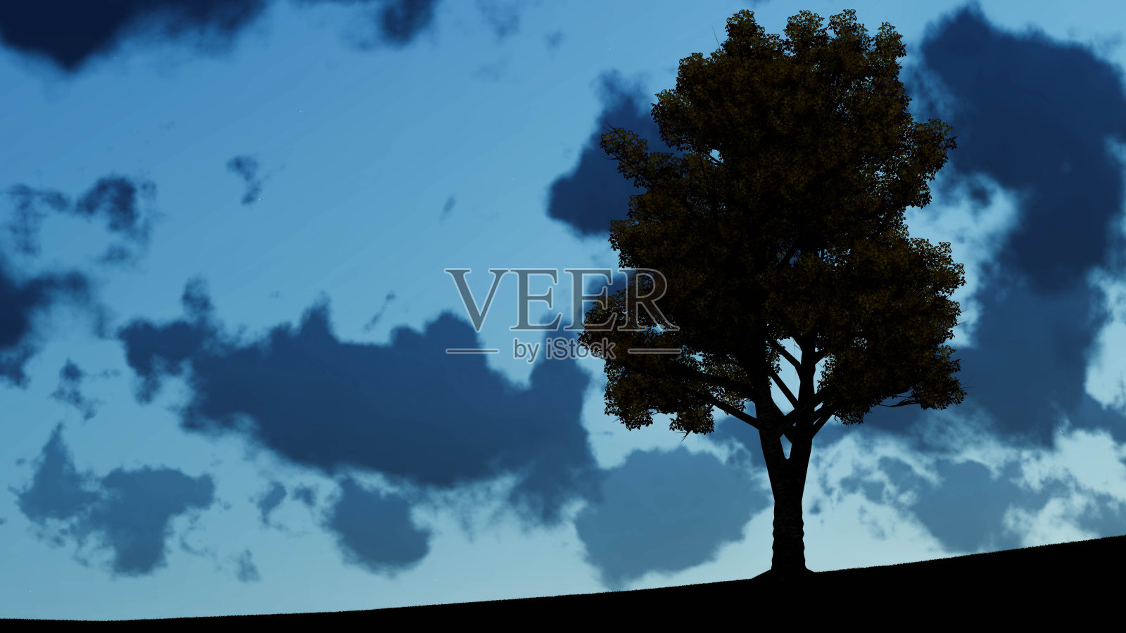 树在夜晚的背景3D渲染照片摄影图片