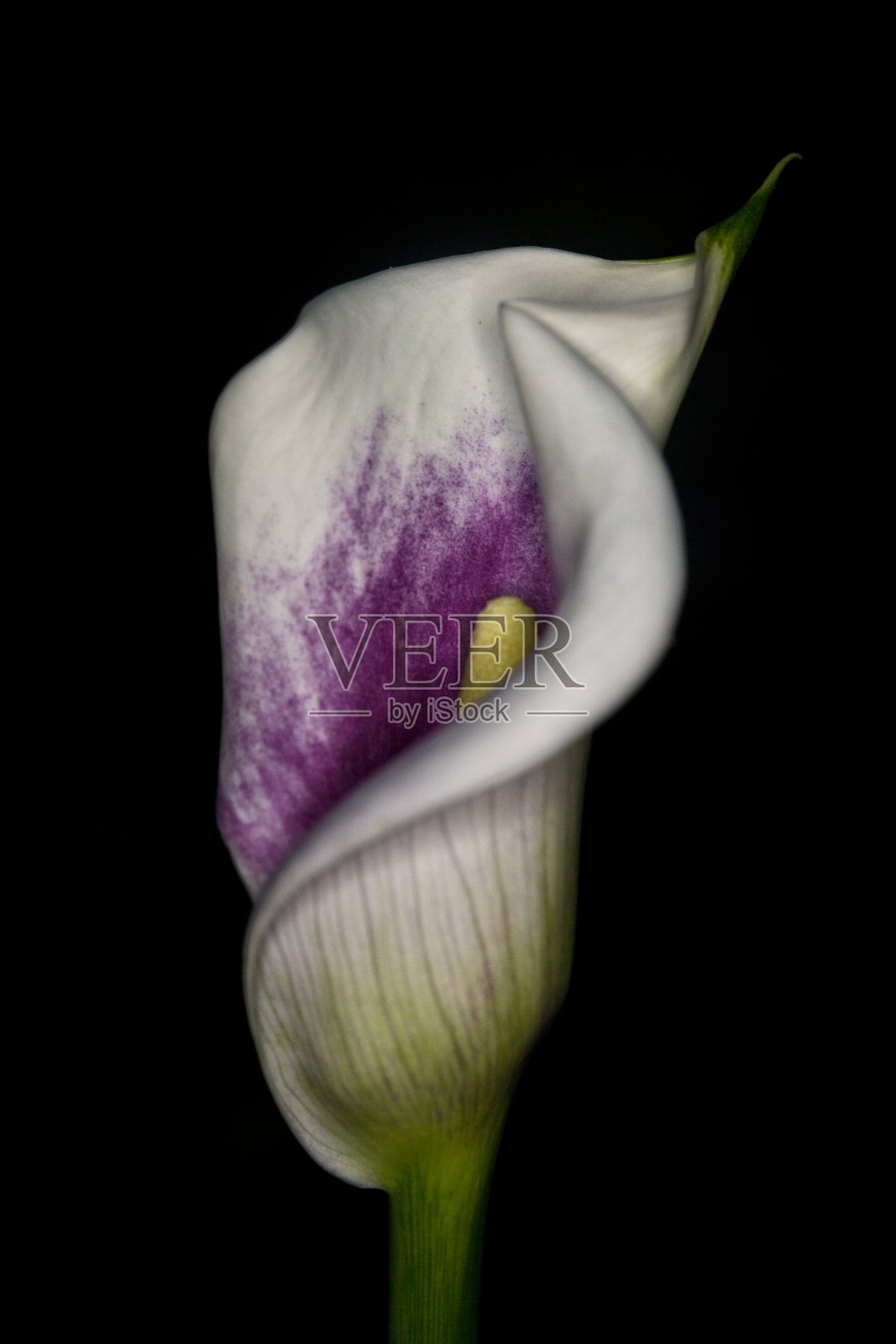 闭嘴照片摄影图片