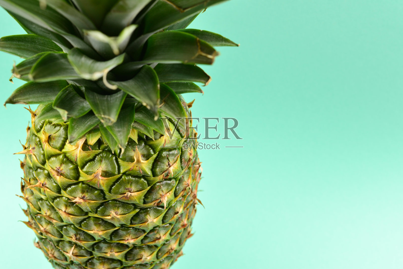 绿色背景上的菠萝照片摄影图片
