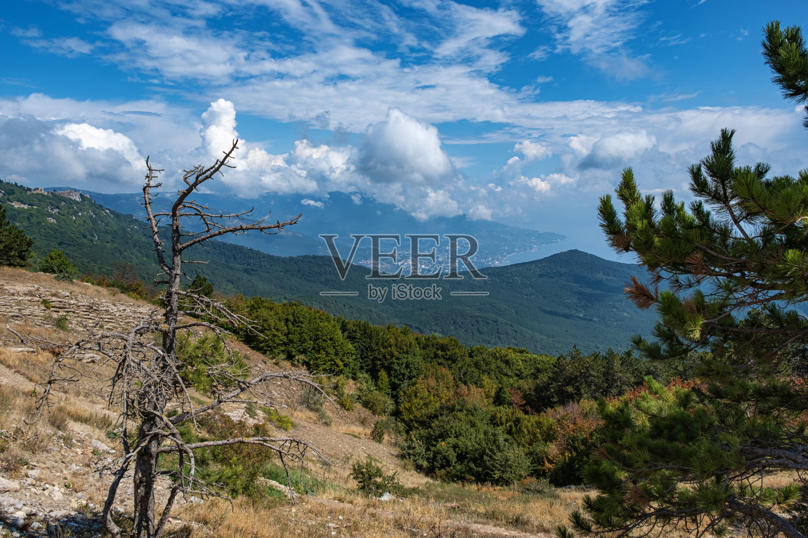 从矮松，山脉和多云的天空的埃佩特里山风景。照片摄影图片