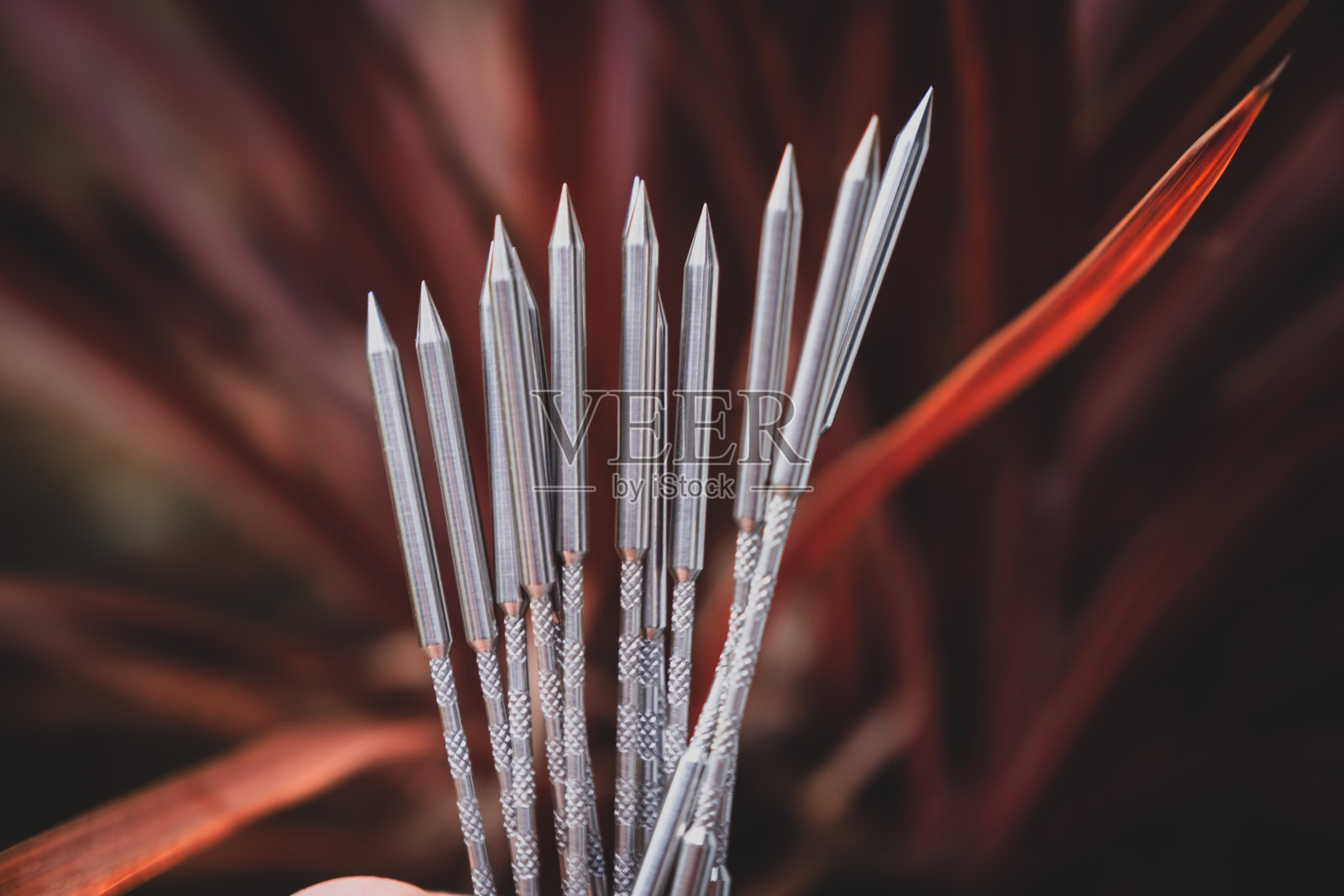 Clavitherapy针照片摄影图片