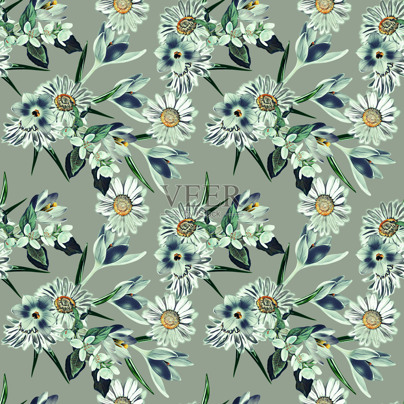 番红花和洋甘菊花，图案无缝。插画图片素材