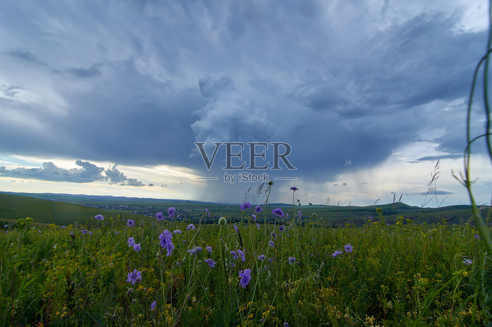 乌云密布的草原上长满了鲜花和青草。照片摄影图片