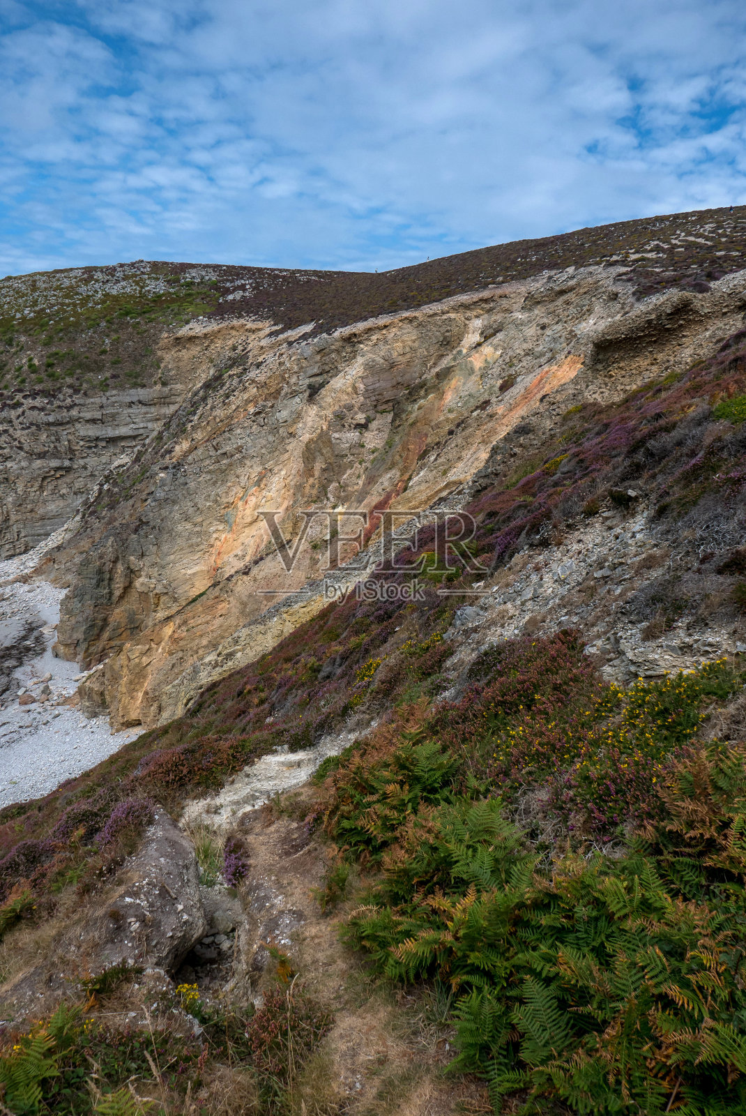 法国布列塔尼的夏日美景海，夏天这个地区的颜色照片摄影图片