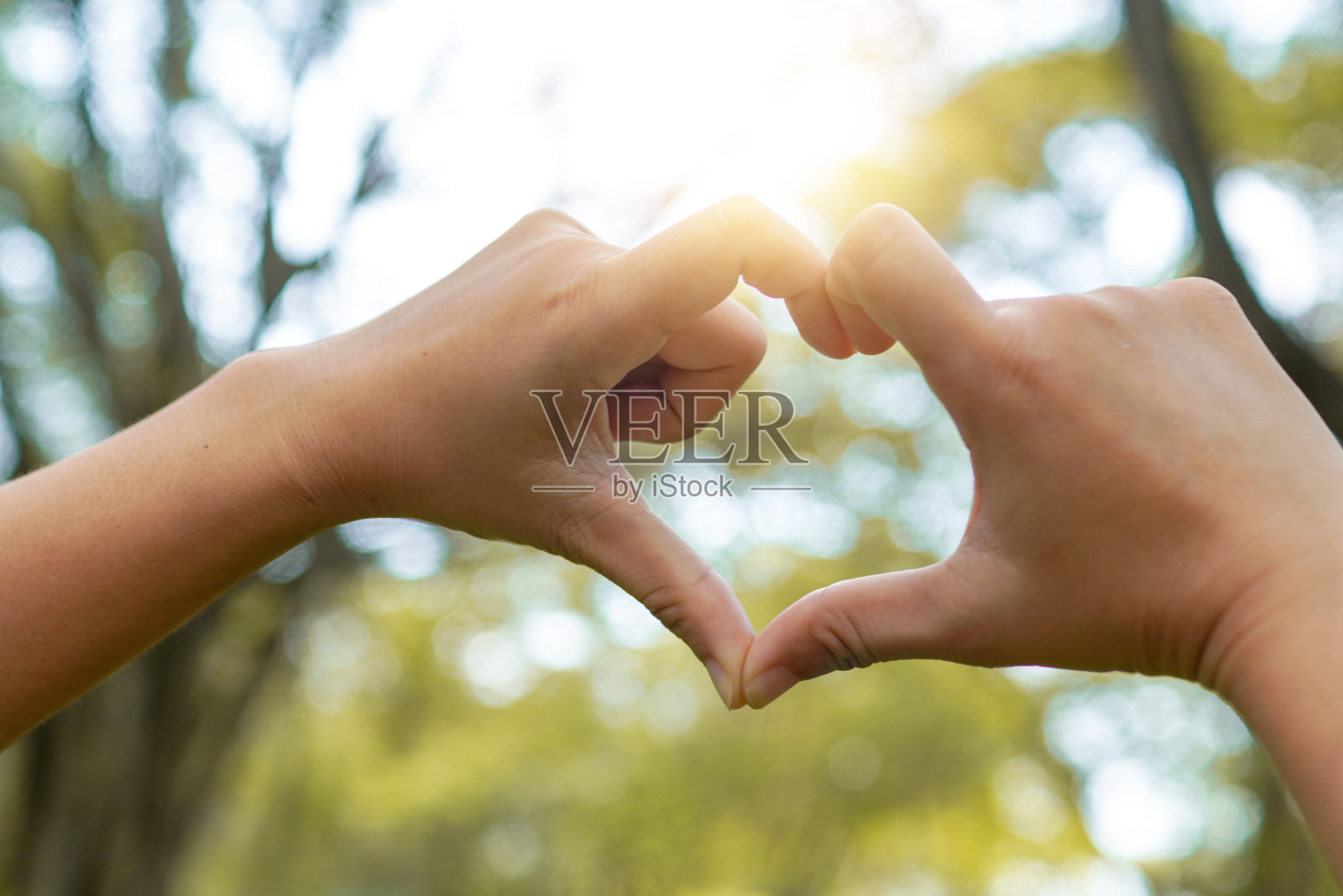 近手心形公园照片摄影图片