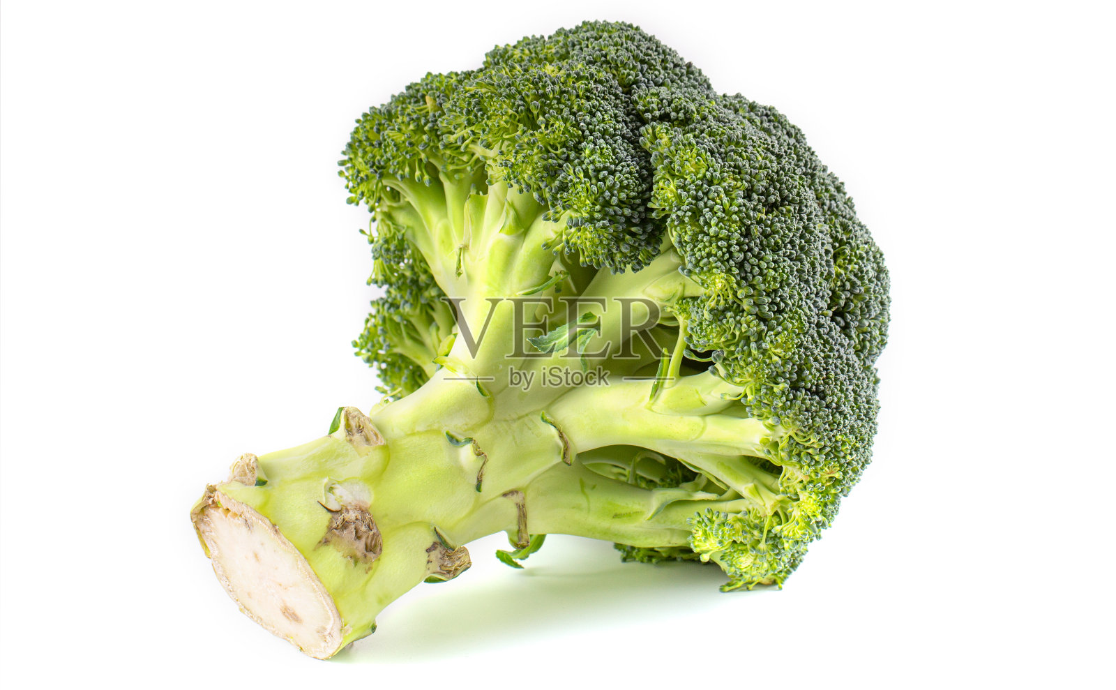 白底下分离的西兰花照片摄影图片