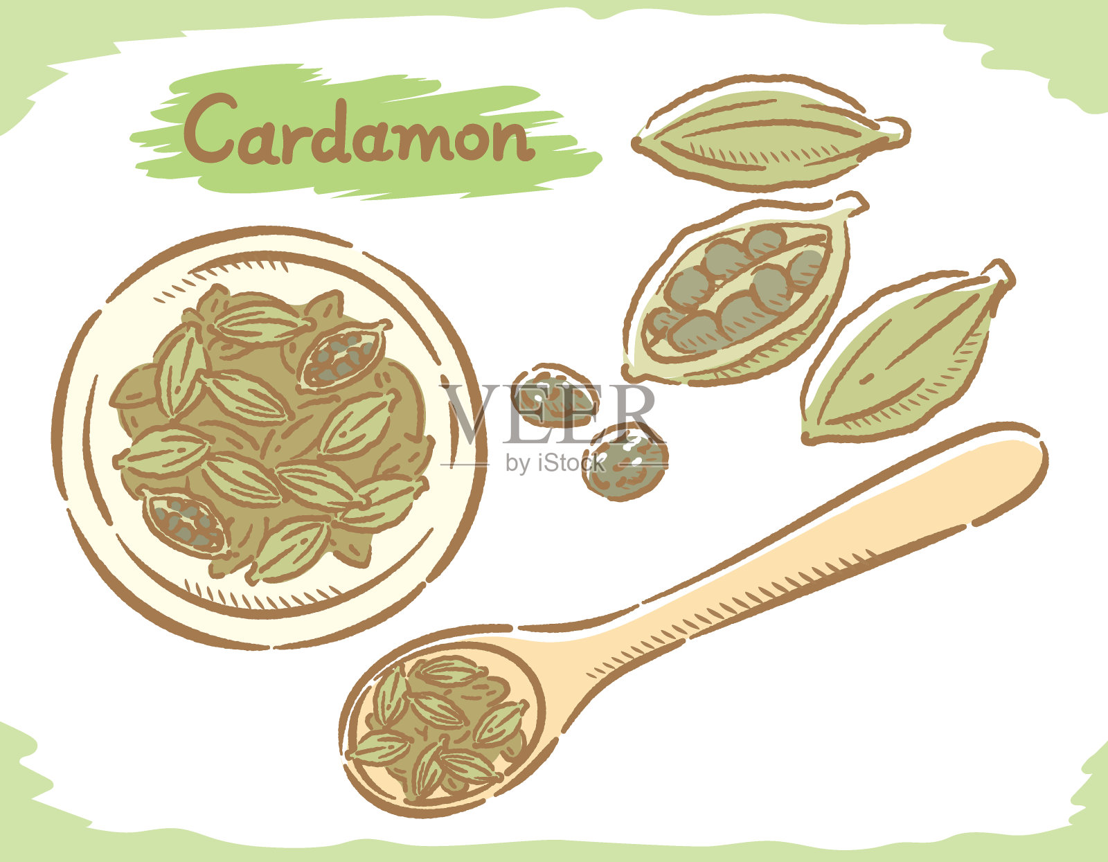 小豆蔻孤立在白色。插画图片素材