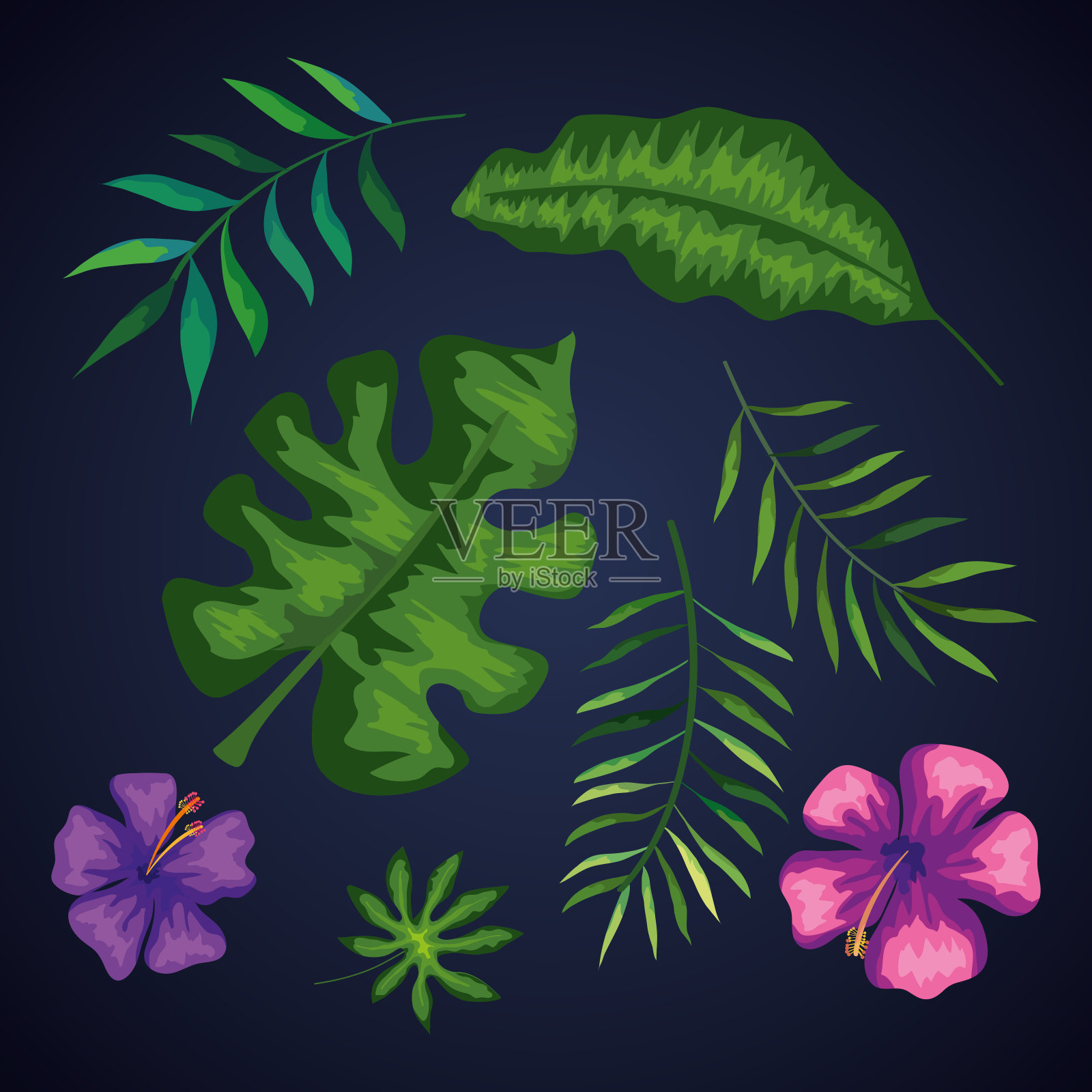 一组有叶和花的树枝插画图片素材