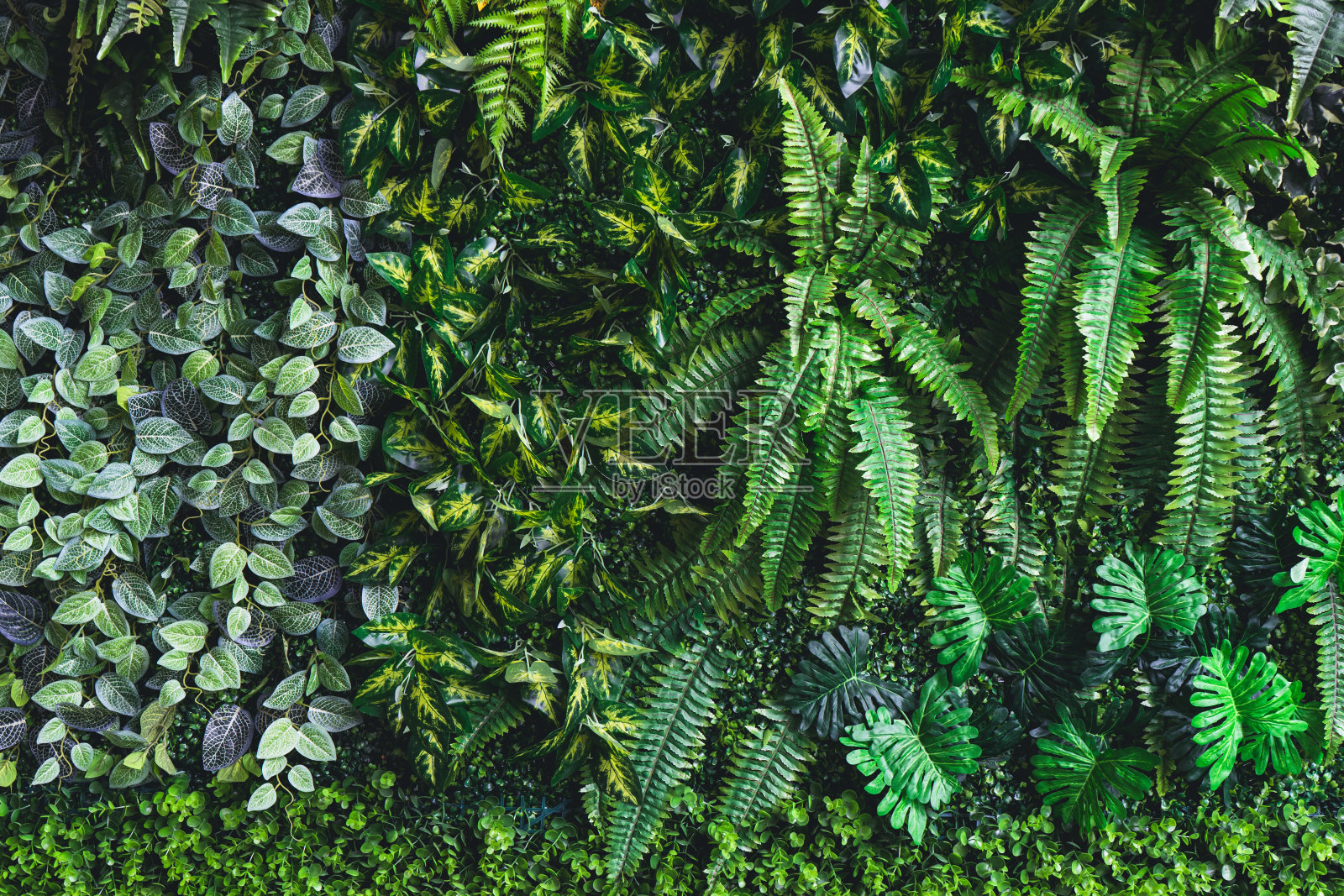 装饰水平热带背景，塑料观赏花园照片摄影图片