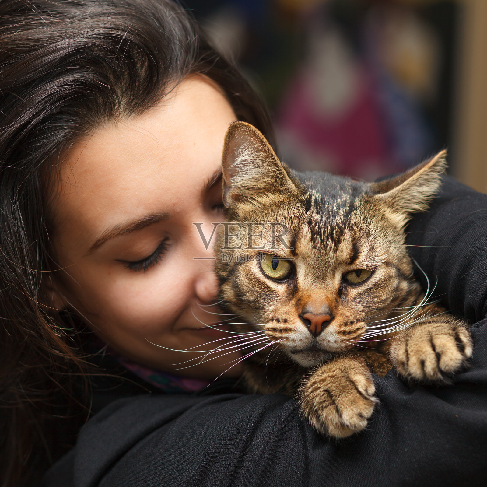 爱猫人士照片摄影图片