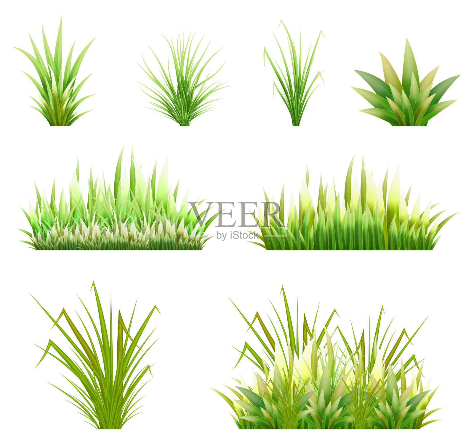 颜色向量图像的绿色芦苇草和一些海岸植物在白色的背景。草地或花园中春芽和杂草的插图。股票向量插画图片素材