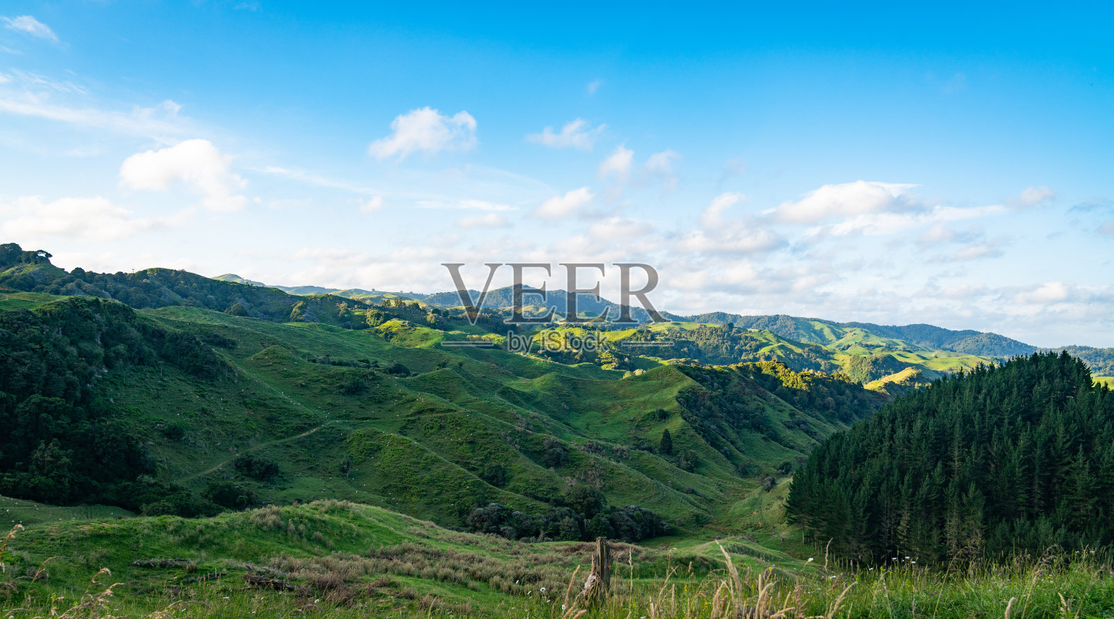 新西兰的山坡照片摄影图片