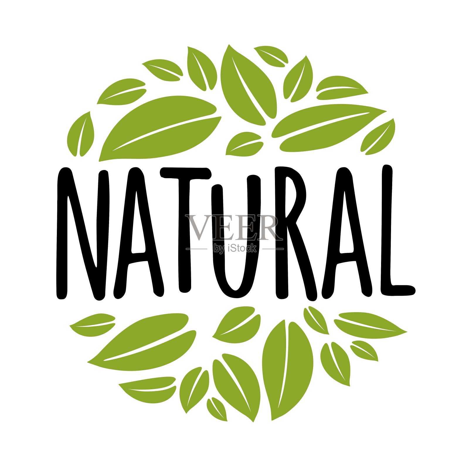 自然的手写字体。绿叶组成圆形。矢量图插画图片素材